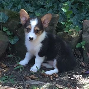 Meet your Posher, Milissa